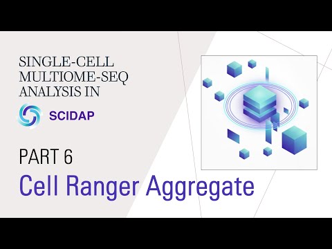 Single-cell Multiome (RNA+ATAC) Analysis: 6. Cell Ranger Aggregate
