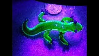 Illuminati  salamander