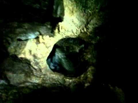 Адыгея дикая пещера 3 шкуродер
