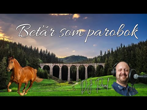 Beťár som parobok - Dj Paul Ľudová Tvorba/Polka Cimbal Mix 2025/