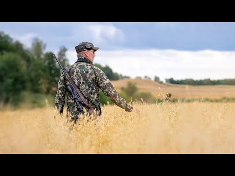 Hunting in Masuria - stalking through game-rich forests and fields