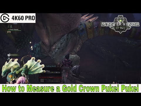 Monster Hunter: World - How to Measure a Gold Crown Pukei Pukei Video
