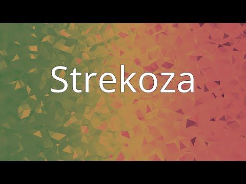 Strekoza