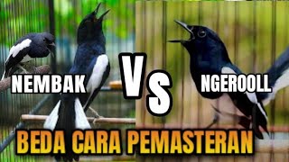 Download lagu KACER NEMBAK ATAU NGEROL ?? CARA PEMASTERAN KACER AGAR CEPAT MASUK mp3 Download lagu KACER NEMBAK ATAU NGEROL ?? CARA PEMASTERAN KACER AGAR CEPAT MASUK mp3