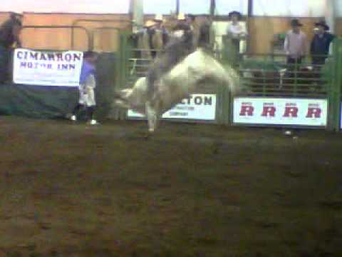 Hadley Miller Bullmania 2011