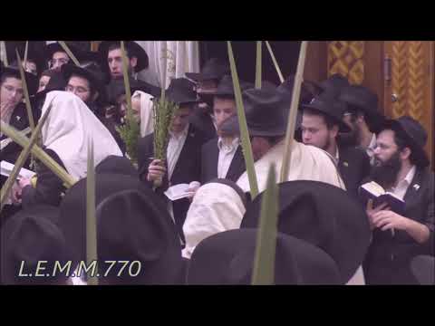 הושענא אבינו אתה עם הרבי שליט"א מלך המשיח