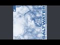 Saltwater (Extended Mix)