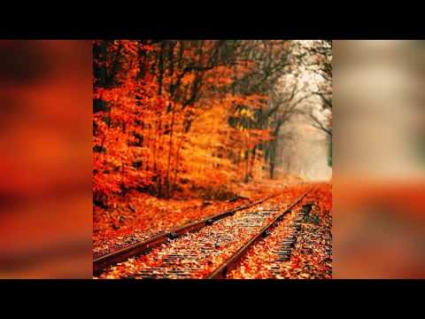 Afro Warriors feat. Anabela Aya  - On My Way