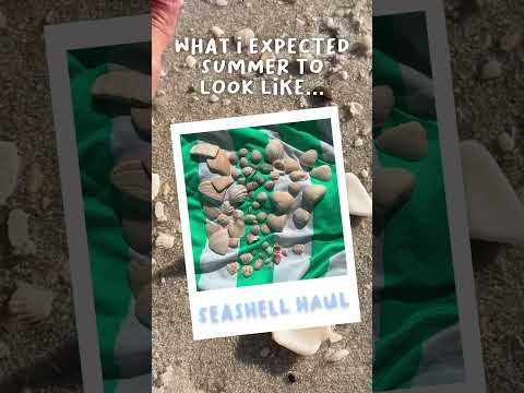 🏖️ Summer expectations vs reality… #summervlog #summeraesthetic #funny #beachday #rainyseason #rain