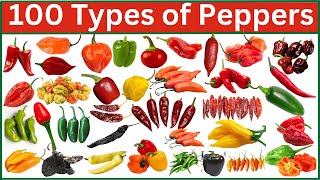 100 Types of peppers | Discover 100 Spicy & Colorful Varieties