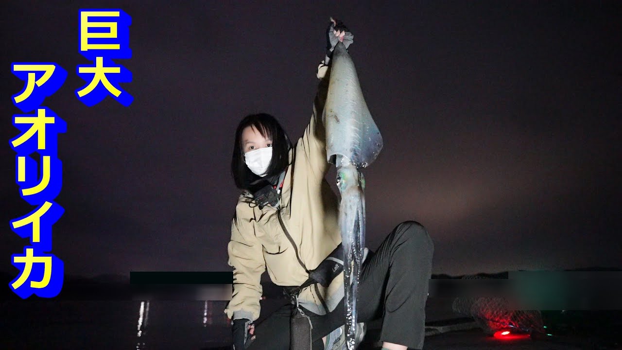 巨大なアオリイカが釣れた！自己記録大幅更新！