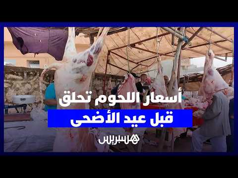 أسعار اللحوم تحلق قبل عيد الأضحى 
