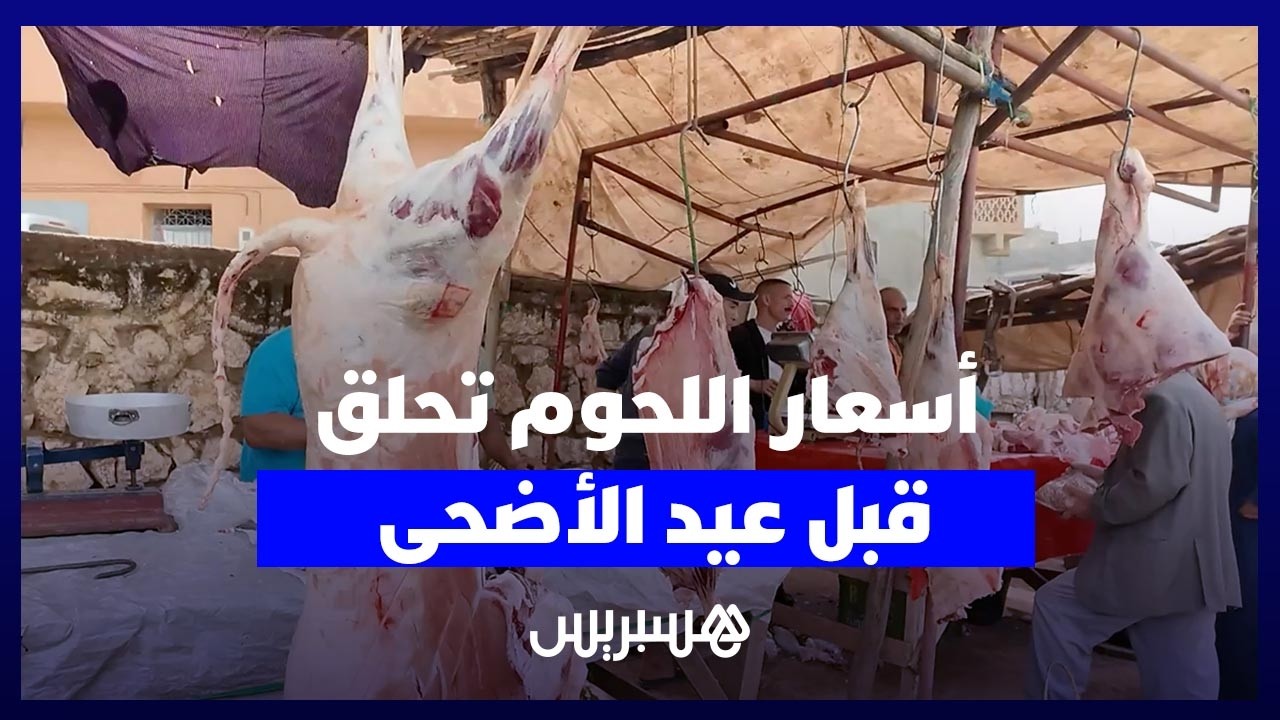 ارتفاع أسعار اللحوم بسوق فم العنصر يثير قلق المواطنين والجزارة مع اقتراب عيد الأضحى thumbnail