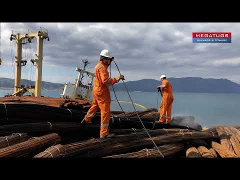 Megatugs cargo recovery & transshipment operation - M/V Manassa Rose M