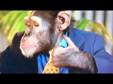 Teletoon-MVP 2: Most Vertical Primate Promo (2015)