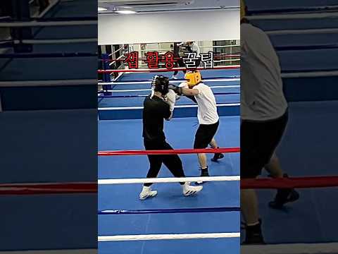 레벨체인지와 페이크, 잽 활용법 #boxing #복싱 #권투 #boxer #복린이 #복싱스파링