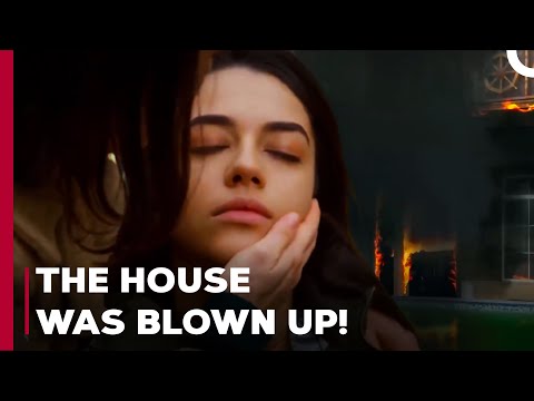 Aslım Barely Saved Herself - Can't Stop Loving You