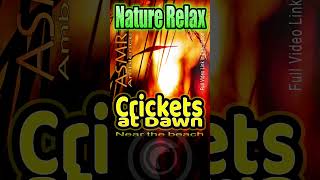 use this soothing natural sounds ambience of crickets to relax and get better deep sleep
