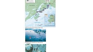 Marine Pollution Lecture (OCE-1001)