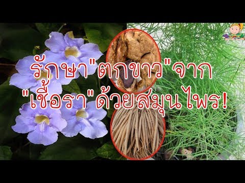 การถือศีลอดน้ำสำหรับโรคสะเก็ดเงิน การแทรกซึมของกลาก