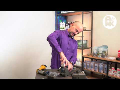 Watch Video on YouTube