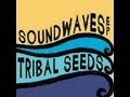Tribal Seeds- I'll return again (Sound of Waves CD ...