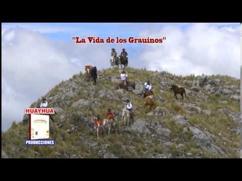 Conjunto Afición Sangre Grauina Vol.2 - Sangre Grauina