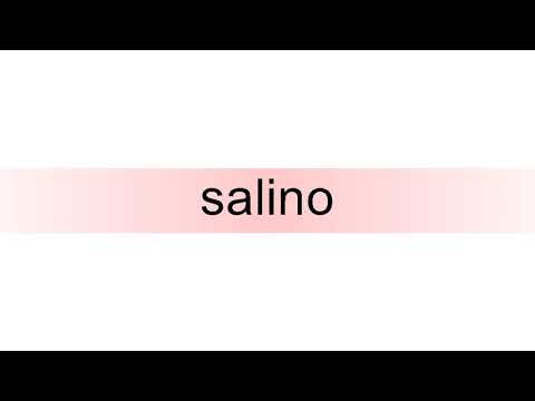 How to pronounce salino