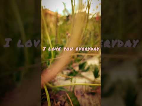 Nhfod-gang-I LOVE YOU EVERYDAY cover remix by Rikex