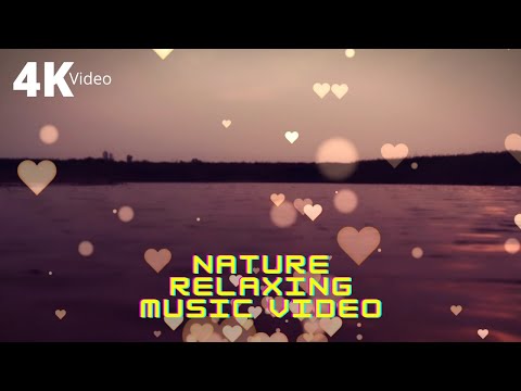 Nature Relaxing Music Video || Nature of Earth || Sunset Relaxing Music || Sudipta Handshots
