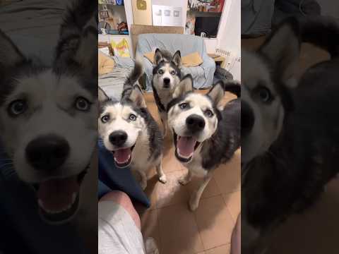 Quien diga “I love you” se lo doy 😂