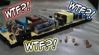 Cockroaches Messed up my PS4!