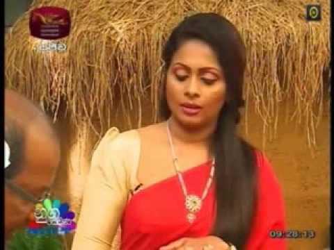 mahinda disanayake nugasewana orchids one