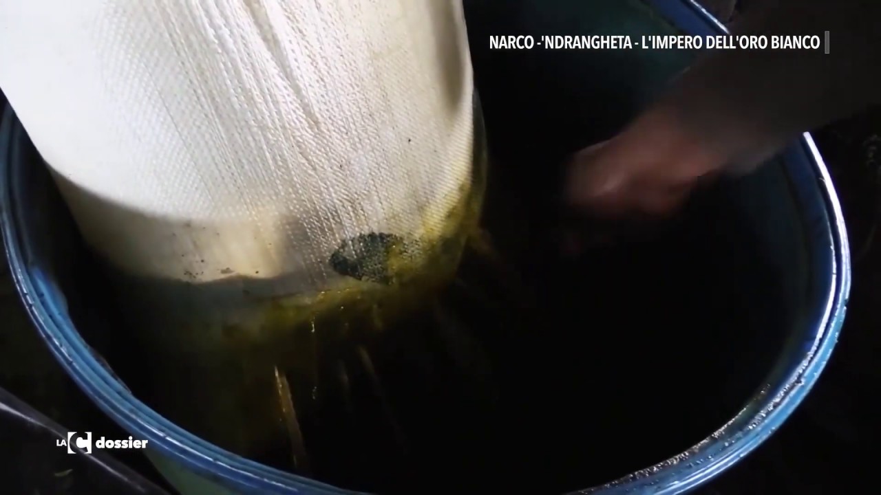 Narcondrangheta, la produzione di cocaina