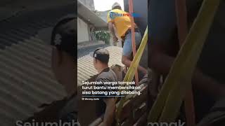 Viral Demi Parade Sound System Bisa Lewat, Sejumlah Pohon Ditebang, Genting Rumah Warga Dikikis