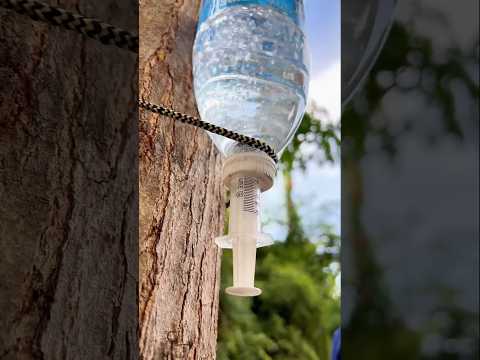 SAVE Water With This Simple Tip!