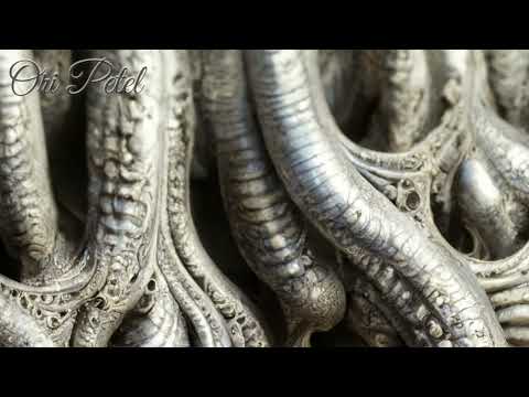 PPK - RESURRECTION (Ori Petel Remix)