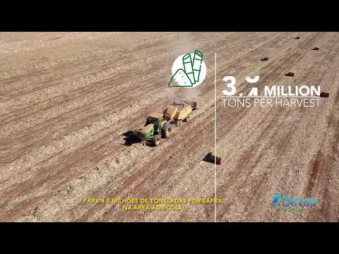 BEVAP bioenergia 2019