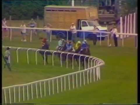 1989 King George VI and Queen Elizabeth Diamond Stakes