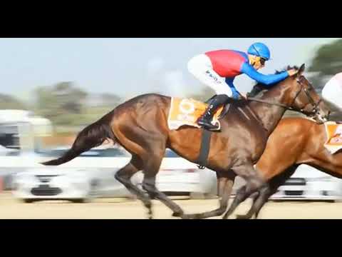 KOMMETDIEDING - 2022 World Sports Betting Cape Town Met (Longer version)