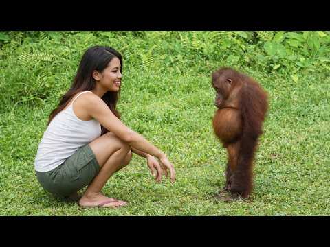 Funny Animal Moments Caught On Camera