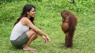 Funny Animal Moments Caught On Camera