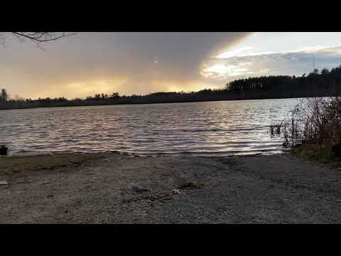 Ambient Guitar Hangs-Red Panda Particle v2