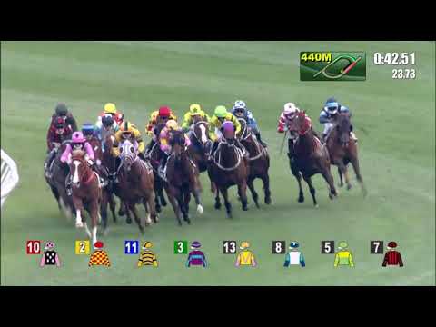 13/12/2020 (266) Winning Dreamer - C Y Ho (6 win streak!)