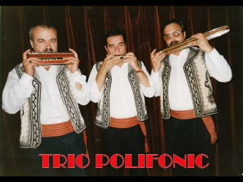 Trio Polifonic - Hora Bucurestiului