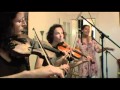 Knockin - Carolina Chocolate Drops and the ...