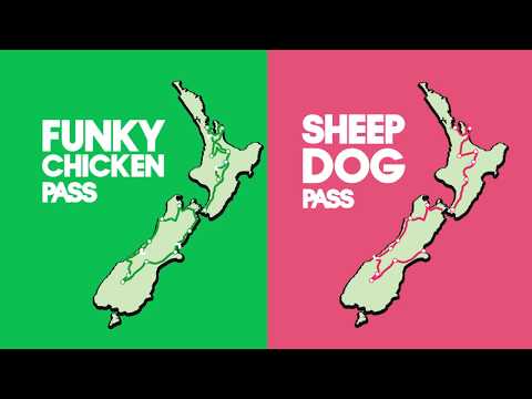 How Hop-On-Hop-Off with Kiwi Experience Works