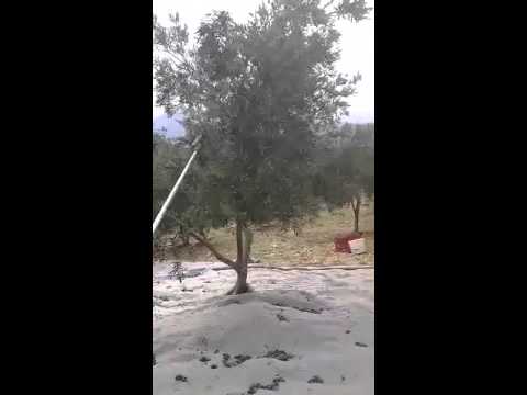 Hızlı Zeytin Silkme Makinesi