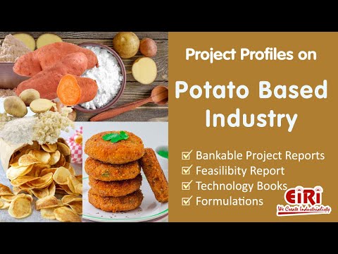 Project Report of Potato Powder Plant