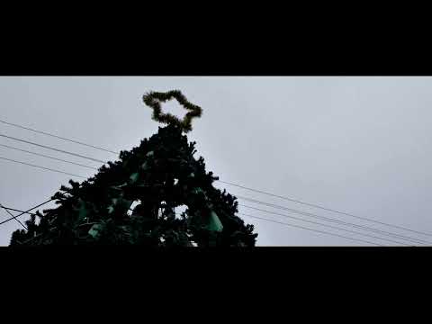 Csávoly 4 évszak (2020-2021 képekben)